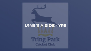 U14B 11 a side - Yr9