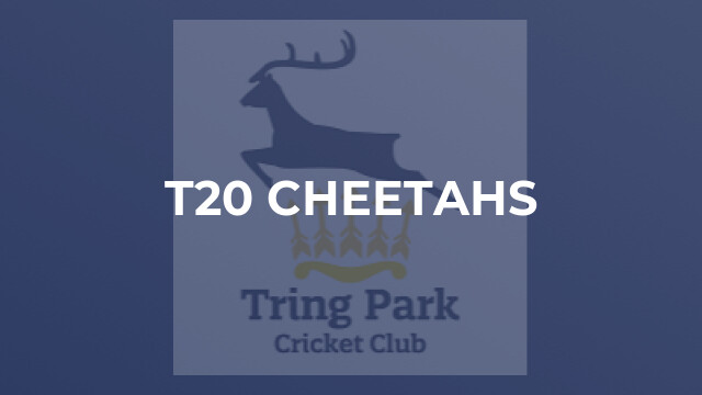 T20 Cheetahs