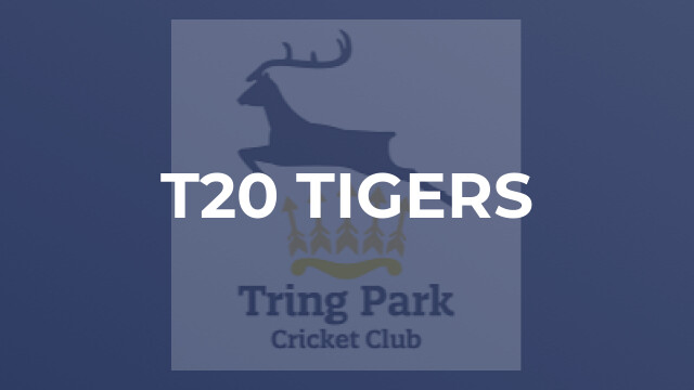 T20 Tigers