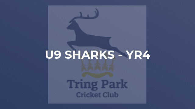 U9 Sharks - Yr4