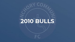 2010 Bulls