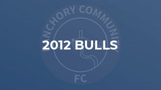 2012 Bulls
