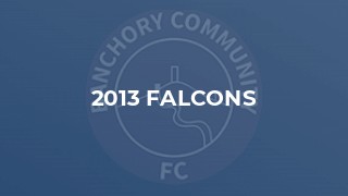 2013 Falcons