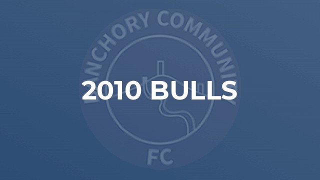 2010 Bulls