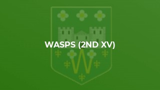 Wasps (2nd XV)