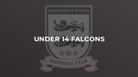 Under 14 Falcons