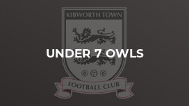 Under 7 Owls
