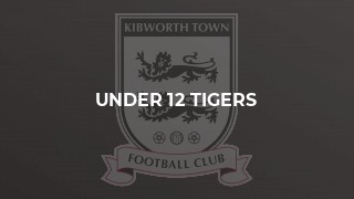 Under 12 Tigers