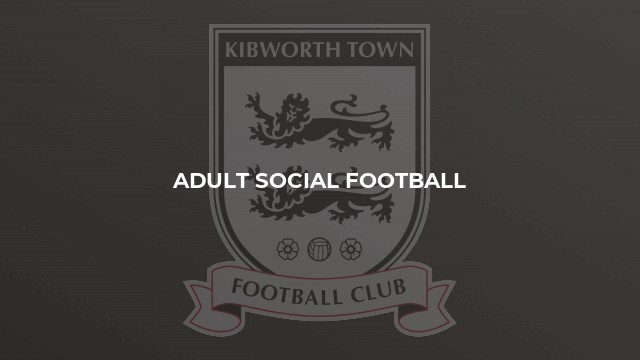 Adult Social Football