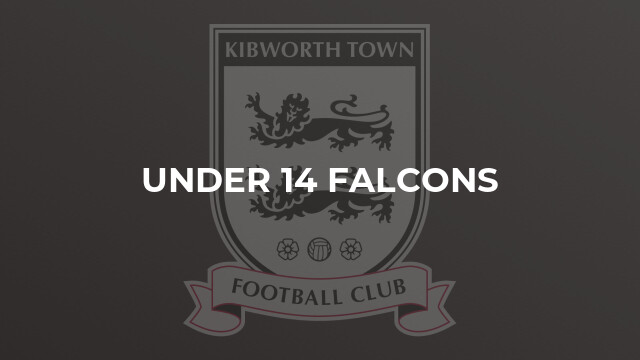Under 14 Falcons
