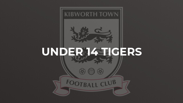 Under 14 Tigers