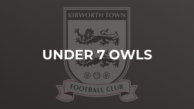 Under 7 Owls