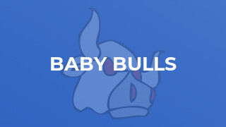 Baby Bulls