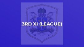 3rd XI (League)