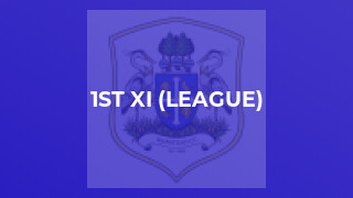 1st XI (League)