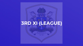 3rd XI (League)