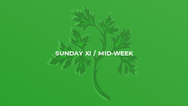 Sunday XI / Mid-Week