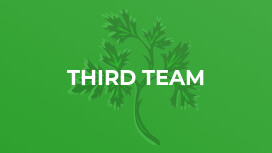 Third Team
