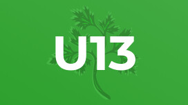 U13