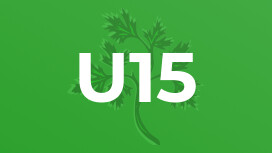 U15