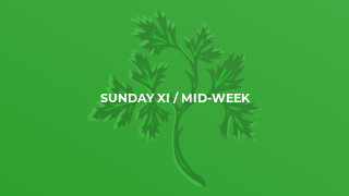 Sunday XI / Mid-Week