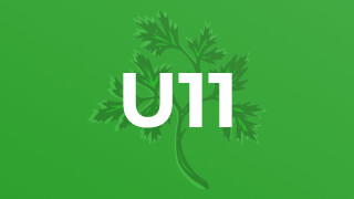 U11