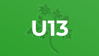 U13