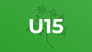 U15