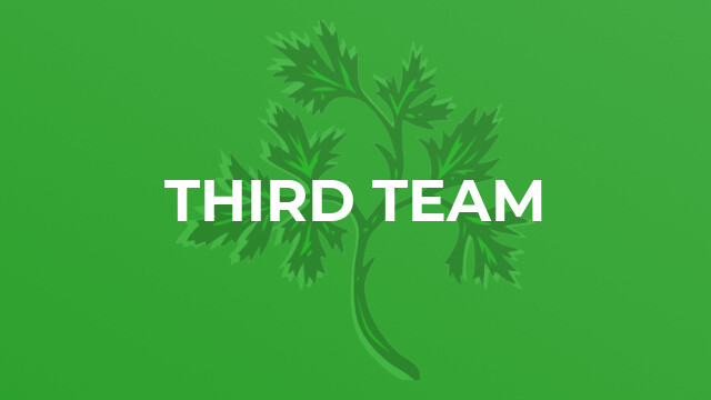 Third Team