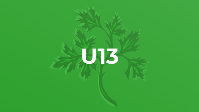 U13