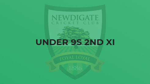 Newdigate U9s 2nds narrowly lose out to Merstham