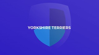 Yorkshire Terriers