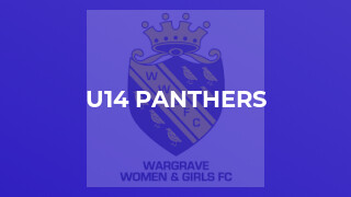 U14 Panthers