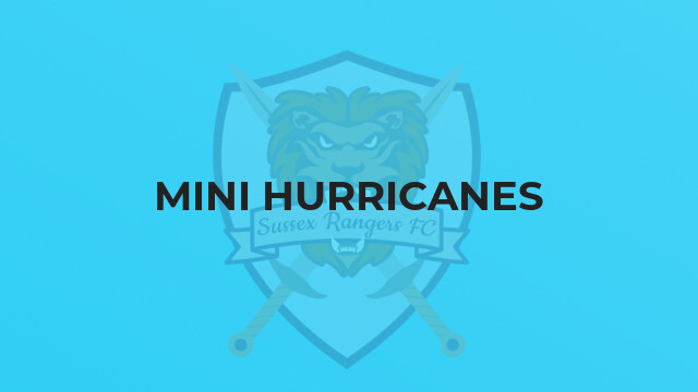 Mini Hurricanes