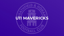 U11 Mavericks