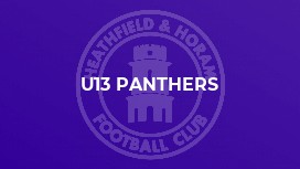 U13 Panthers