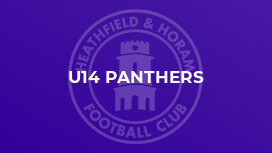 U14 Panthers