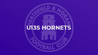 U13s Hornets