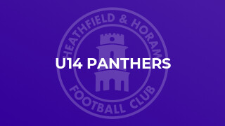 U14 Panthers