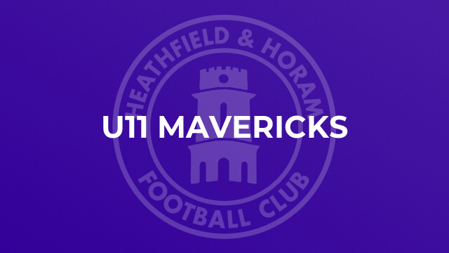 U11 Mavericks