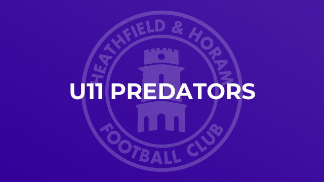 U11 Predators