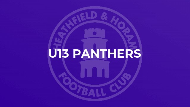 U13 Panthers