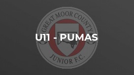 U11 - Pumas