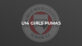 U14 Girls Pumas