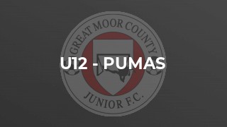 U12 - Pumas