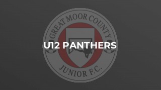 U12 Panthers