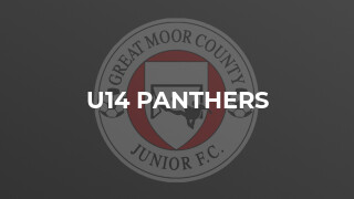 U14 Panthers