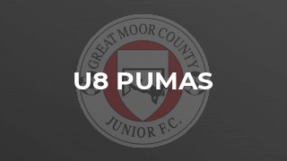 U8 Pumas