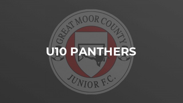 U10 Panthers