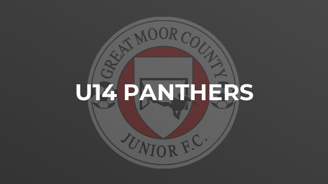 U14 Panthers